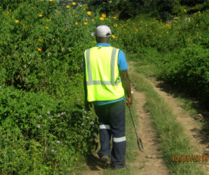 Earthguard environmental services